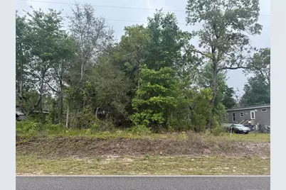 Dawn Avenue, Interlachen, FL 32148 - Photo 3