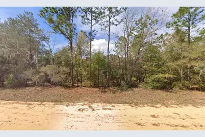 421 Brett Avenue, Interlachen, FL 32148 - Photo 1