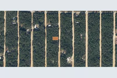 421 Brett Avenue, Interlachen, FL 32148 - Photo 3