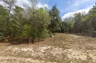 523 Gloria Ave, Interlachen, FL 32148 - Photo 1