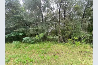 425 E Elgrove Drive, Citrus Springs, FL 34434 - Photo 13