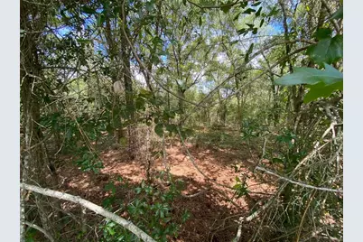 425 E Elgrove Drive, Citrus Springs, FL 34434 - Photo 3