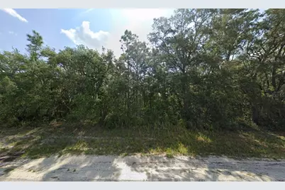 Tbd SW 146th Lane Road, Dunnellon, FL 34432 - Photo 3