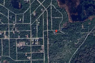 113 Easy Ln, Satsuma, FL 32189 - Photo 1