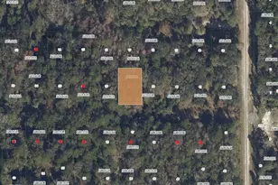 332 Laisy Dr, Georgetown, FL 32139 - Photo 1