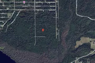 214 Garrison Ave, Georgetown, FL 32139 - Photo 1