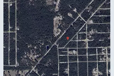 108 W Hillsborough Avenue, Florahome, FL 32140 - Photo 1