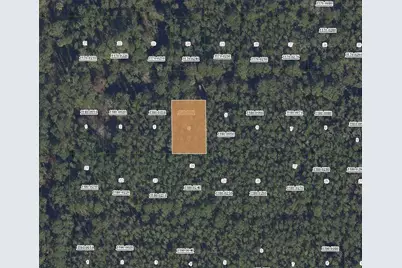 307 Tropical Drive, Georgetown, FL 32139 - Photo 1