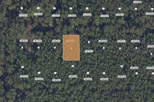 307 Tropical Dr, Georgetown, FL 32139 - Photo 1