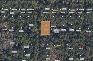 Mandarin Ave, Georgetown, FL 32139 - Photo 1