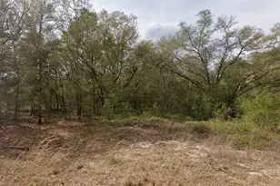 633 Guy Ave, Interlachen, FL 32148 - Photo 1