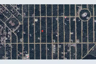 314 Neisman Avenue, Interlachen, FL 32148 - Photo 3