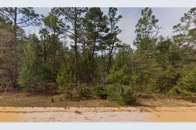 314 Neisman Avenue, Interlachen, FL 32148 - Photo 1