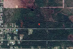 1016 Hyacinth Ave, Sebring, FL 33875 - Photo 1