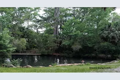 303 Siesta Drive, Georgetown, FL 32139 - Photo 3