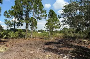 15417 NW 310th St, Okeechobee, FL 34972 - Photo 1