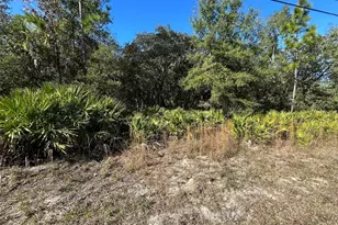 632 N Dunkenfield Ave, Crystal River, FL 34429 - Photo 1