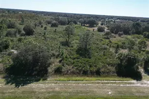 15031 NW 262nd St, Okeechobee, FL 34972 - Photo 1