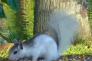 1025 Roberts Ln, Moore Haven, FL 33471 - Photo 21