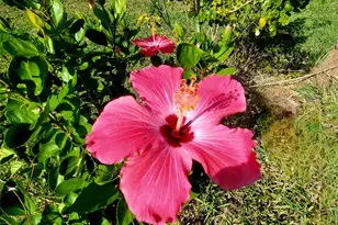 1025 Roberts Ln, Moore Haven, FL 33471 - Photo 29