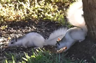 1025 Roberts Ln, Moore Haven, FL 33471 - Photo 23