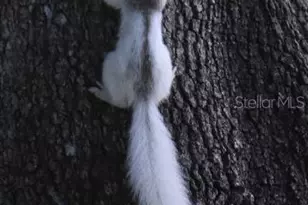 1025 Roberts Ln, Moore Haven, FL 33471 - Photo 19