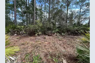 206 Royal Avenue, Interlachen, FL 32148 - Photo 3