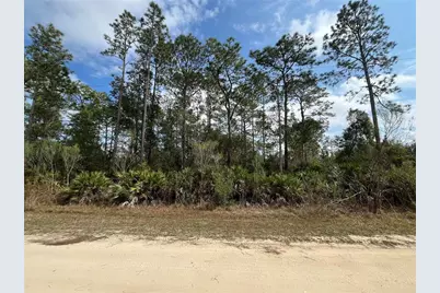 206 Royal Avenue, Interlachen, FL 32148 - Photo 1