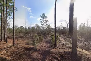 116 Tulip Ave, Interlachen, FL 32148 - Photo 1