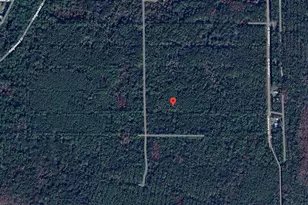 208 Garrison Ave, Georgetown, FL 32139 - Photo 1