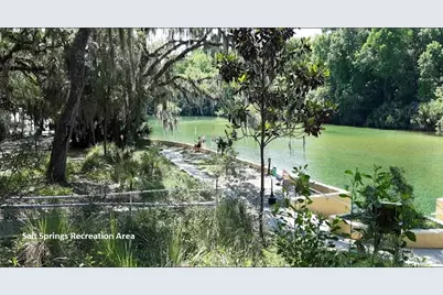 175 Park Avenue, Interlachen, FL 32148 - Photo 3