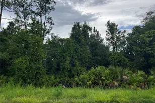 6883 St Johns Ave, Palatka, FL 32177 - Photo 1