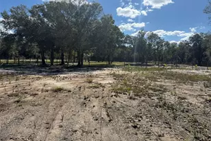 17618 NW 286th St, Okeechobee, FL 34972 - Photo 1