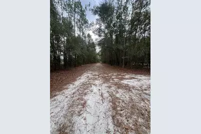 589 SW Cumorah Hill Street, Fort White, FL 32038 - Photo 3