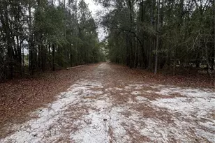 589 SW Cumorah Hill St, Fort White, FL 32038 - Photo 3