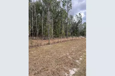 589 SW Cumorah Hill Street, Fort White, FL 32038 - Photo 1