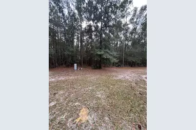 589 SW Cumorah Hill Street, Fort White, FL 32038 - Photo 9