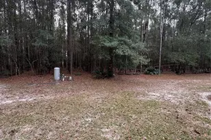 589 SW Cumorah Hill St, Fort White, FL 32038 - Photo 9