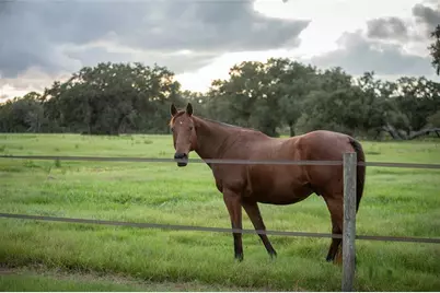 32801 Hwy 441 N #10, Okeechobee, FL 34972 - Photo 71