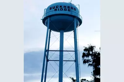 37 Shell Road, Buckhead Ridge, FL 34974 - Photo 35