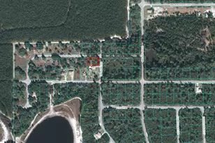 00 Malauka Terrace, Ocklawaha, FL 32179 - Photo 1