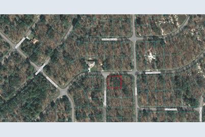 00 Guava Pass Course, Ocklawaha, FL 32179 - Photo 1