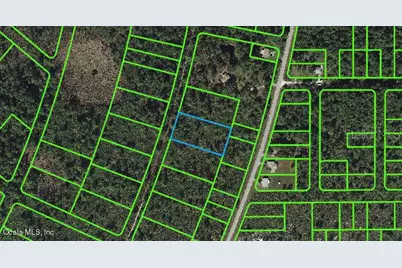 737 Dolphin Avenue, Lake Placid, FL 33852 - Photo 1
