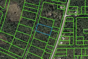 737 Dolphin Ave, Lake Placid, FL 33852 - Photo 1