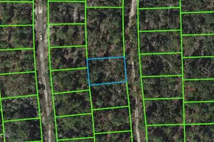 268 Sunnyside Dr, Lake Placid, FL 33852 - Photo 1