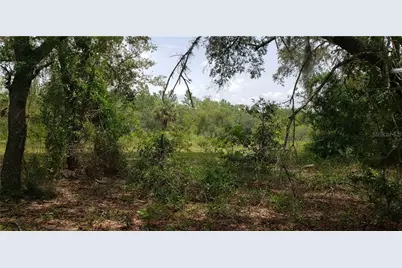 Lot 11 NE Alt Hwy 27, Williston, FL 32696 - Photo 1