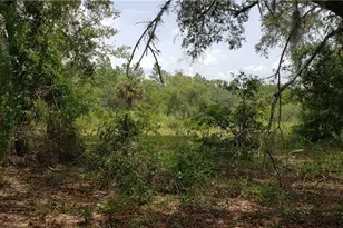 Lot 11 NE Alt Hwy 27, Williston, FL 32696 - Photo 1