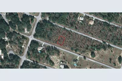 00 Malauka Radial, Ocklawaha, FL 32179 - Photo 1
