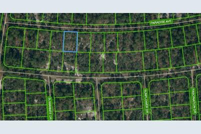357 Paradise Avenue, Lake Placid, FL 33852 - Photo 1