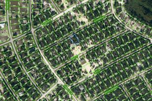 411 Allegheny Ave, Lake Placid, FL 33852 - Photo 1